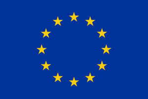 flag_yellow_low